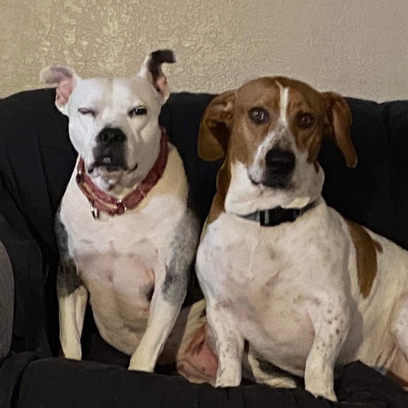 Meet your Posher, Tracy - Picture 1 of 1